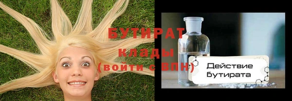 шишки Заволжье