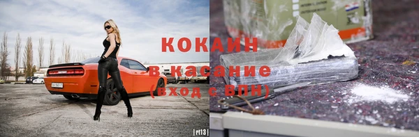 шишки Заволжье