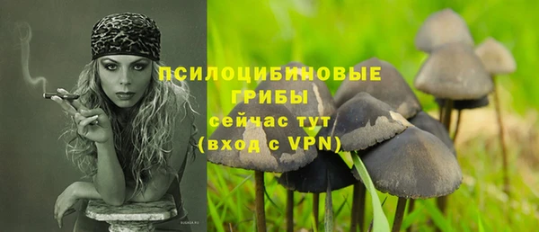 шишки Заволжье