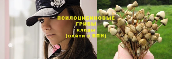 кокаин Заводоуковск