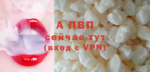 шишки Заволжье