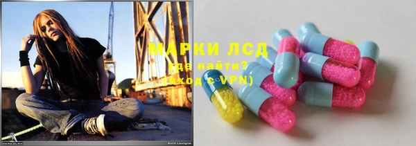 шишки Заволжье