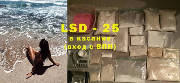 шишки Заволжье