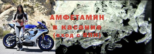 шишки Заволжье