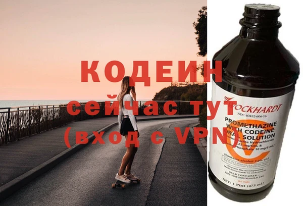 шишки Заволжье