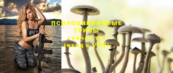 кокаин Заводоуковск
