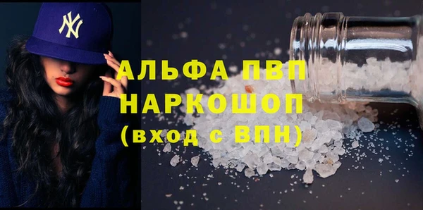 шишки Заволжье